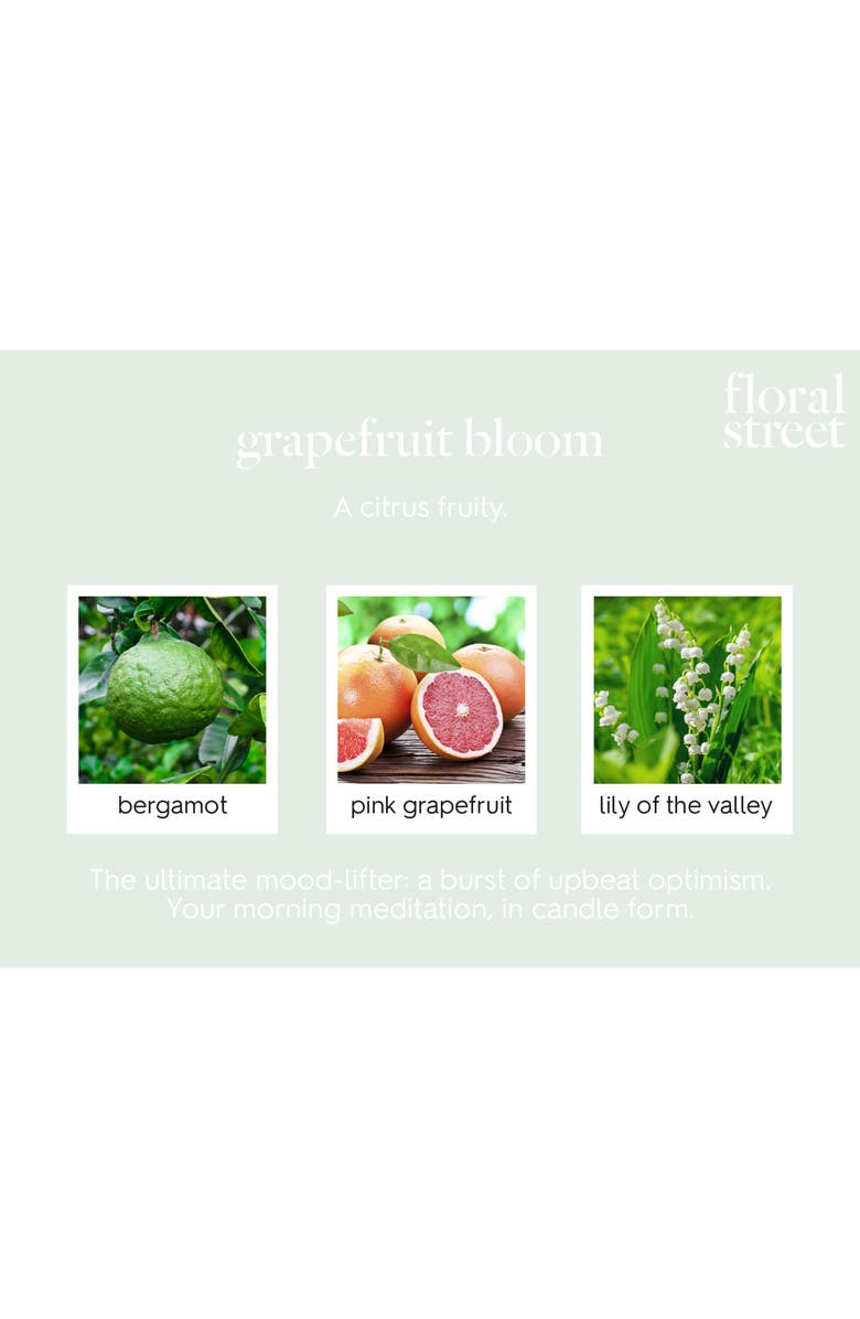 Floral Street Grapefruit Bloom Reed Diffuser, Alternate, color, 