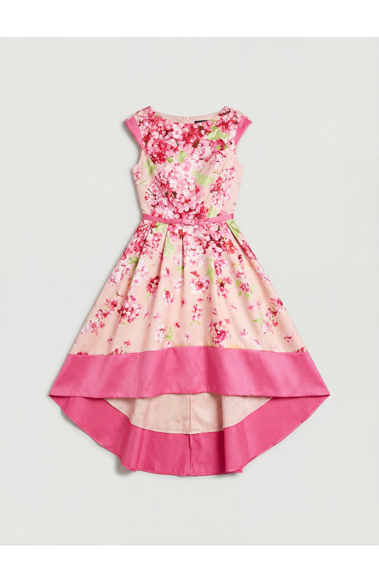 Coast Twill Hi-lo Floral Printed Midi Dress, Alternate, color, Blush