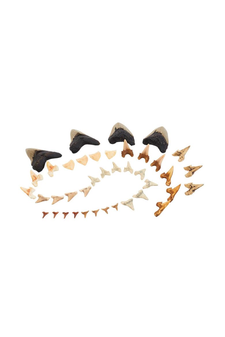 Super Shark Teeth Set - 40 Pieces, Main, color, Multicolored