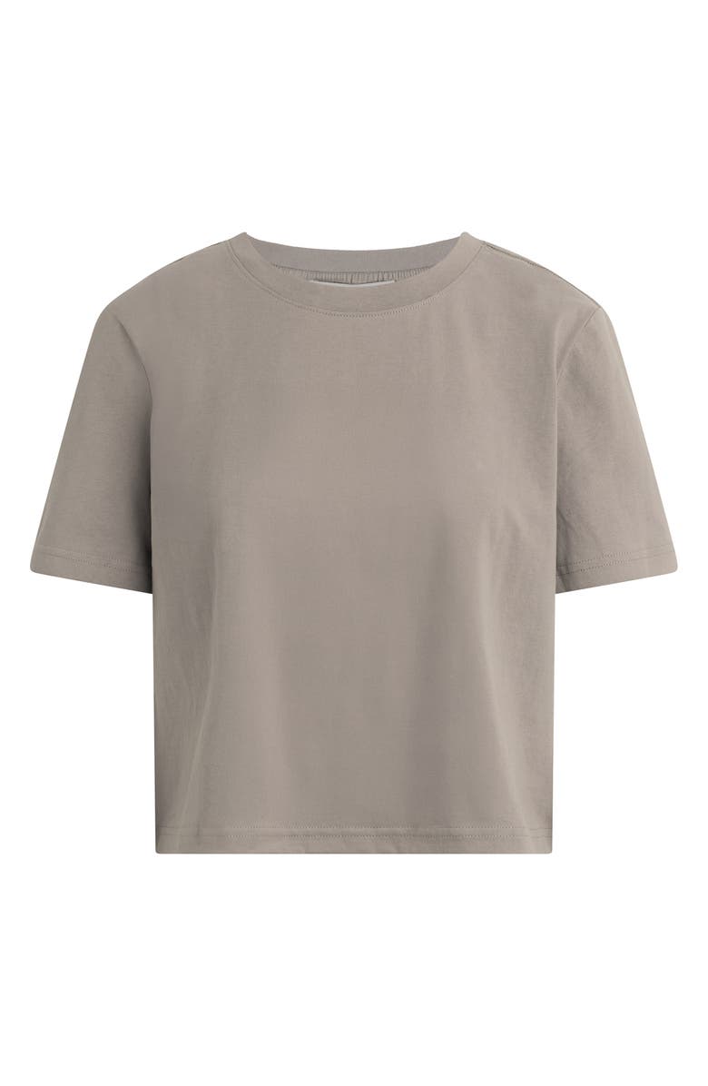 Favorite Daughter The Favorite T-Shirt, Alternate, color, Soft Taupe