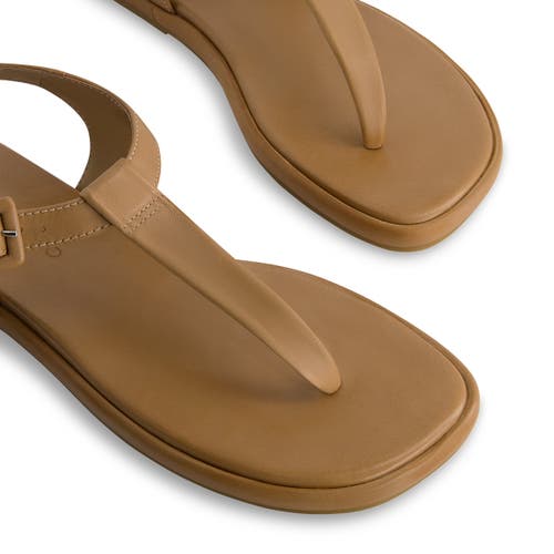 Shop Bernardo Footwear Tucson T-strap Sandal