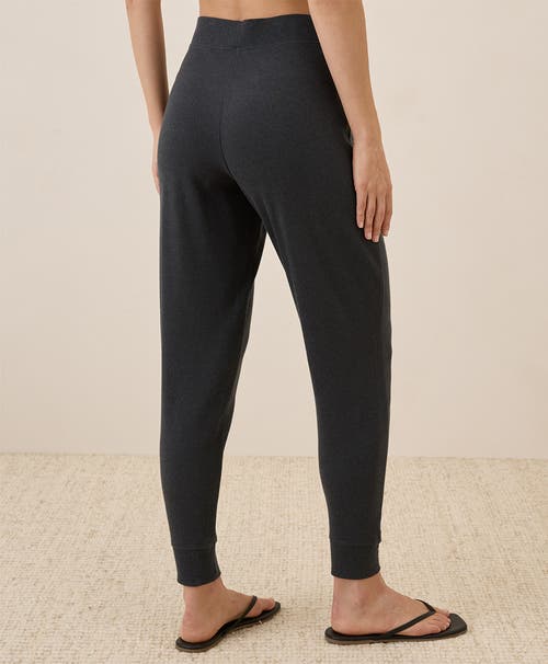 Pact Organic Cotton Airplane Jogger In Charcoal Heather