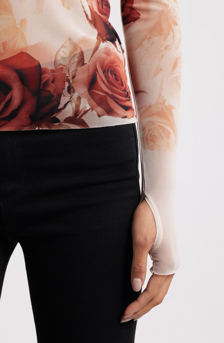 AFRM Kaylee Print Long Sleeve Mesh Top, Alternate, color, Sepia Roses
