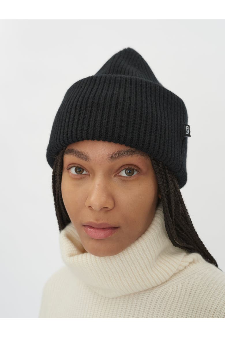 Ribbed Chunky Beanie, Alternate, color, black