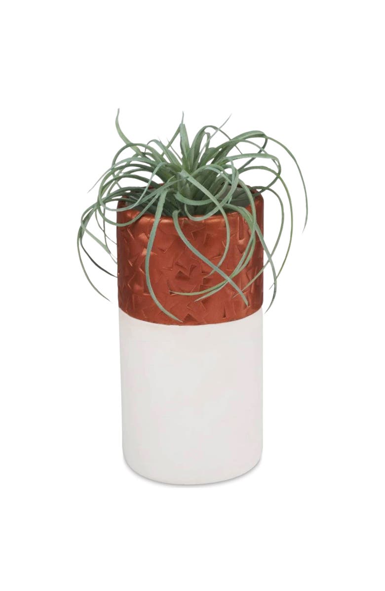 Sculpey Polymer Clay Premo Multipack Sampler (24) 1oz, Alternate, color, Multicolored