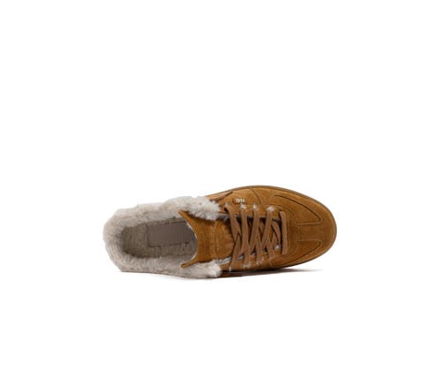 P448 Monaco Sneaker In Brown