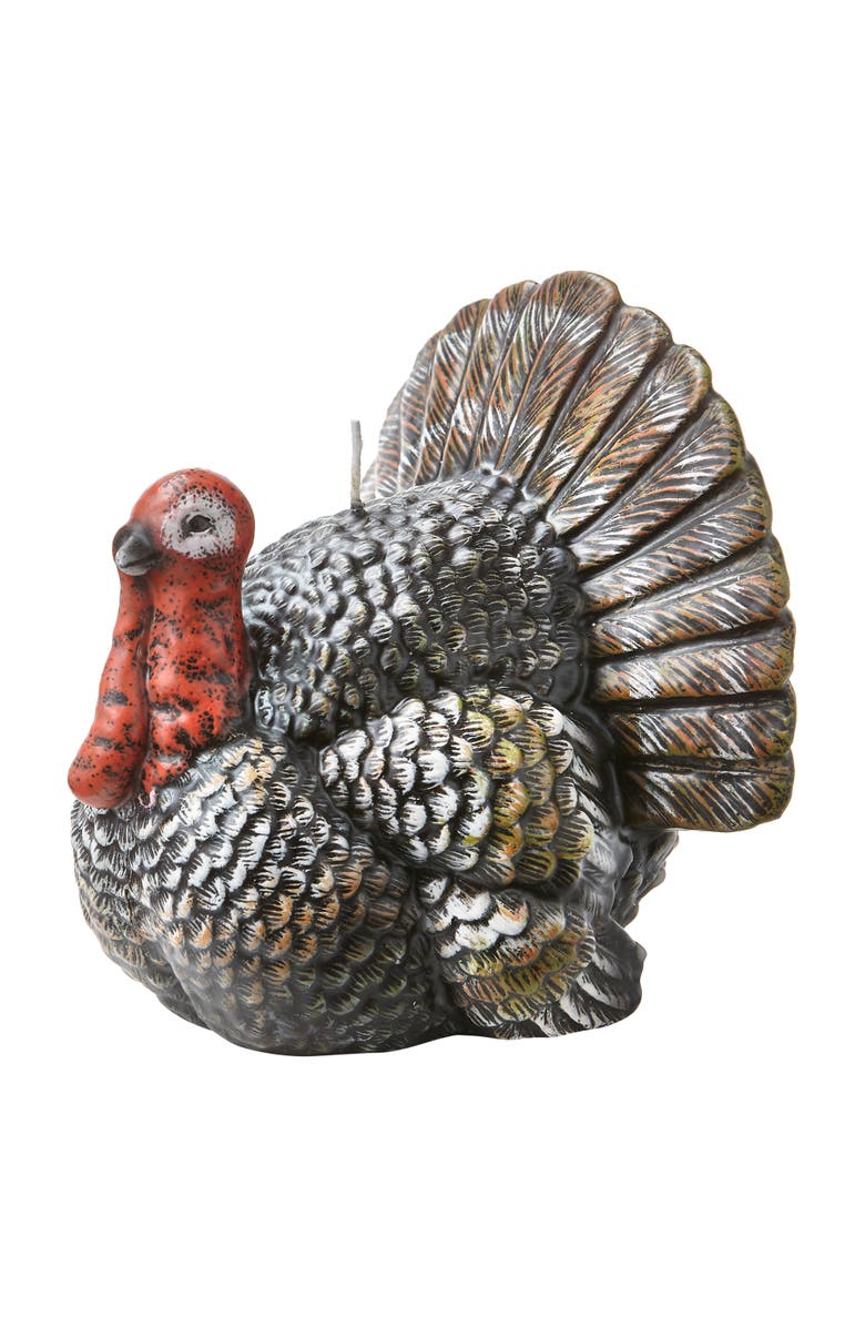 tag Teddy Turkey Candle - Thanksgiving Decor Multicolor Wax, Main, color,
