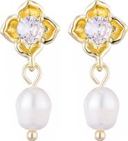 Adornia Crystal & Freshwater Pearl Drop Earrings