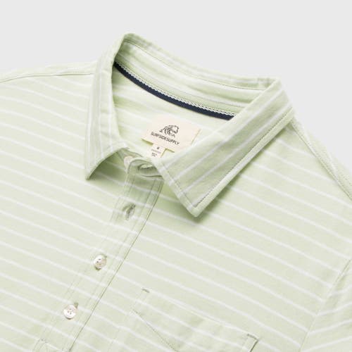 Surfside Supply Co. Michael Stripe Polo