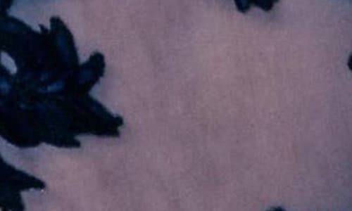 Next Burnout Flocked Sheer Mesh Top In Blue