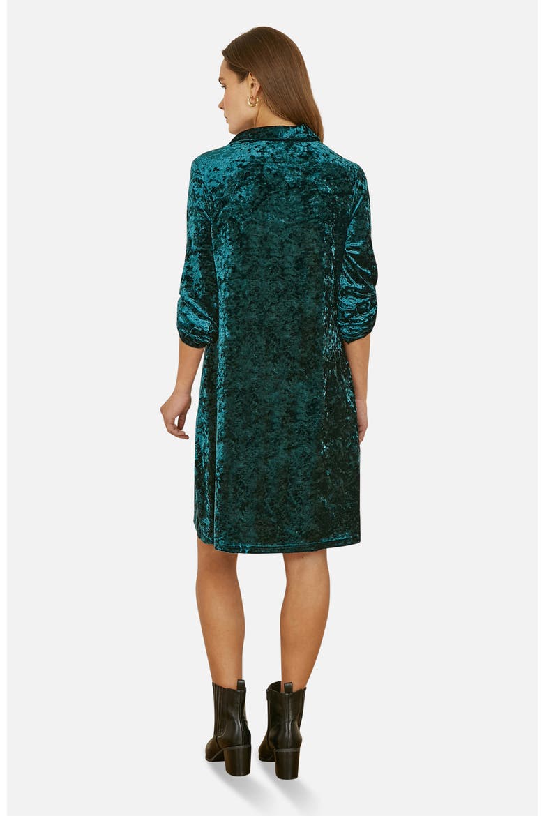 Velvet 3/4 Sleeve Collared Tunic Dress, Alternate, color, Green