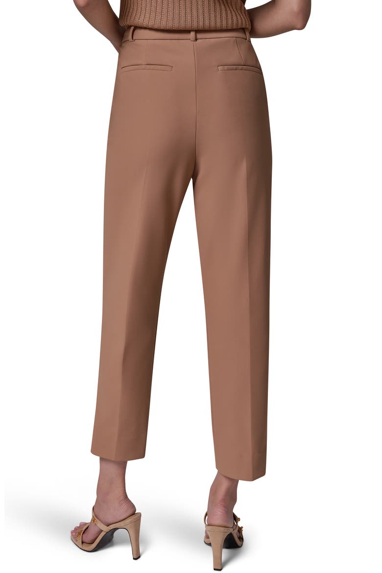 Flat Front Ankle Pants, Alternate, color, CAMEL
