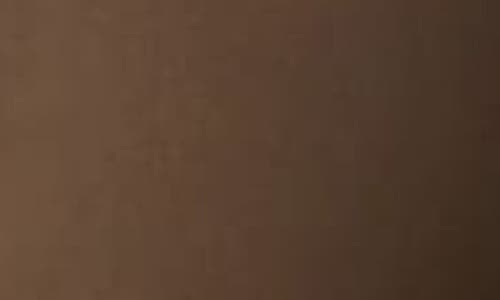 Memoi Sheer Illusion Thermal Tights In Gold