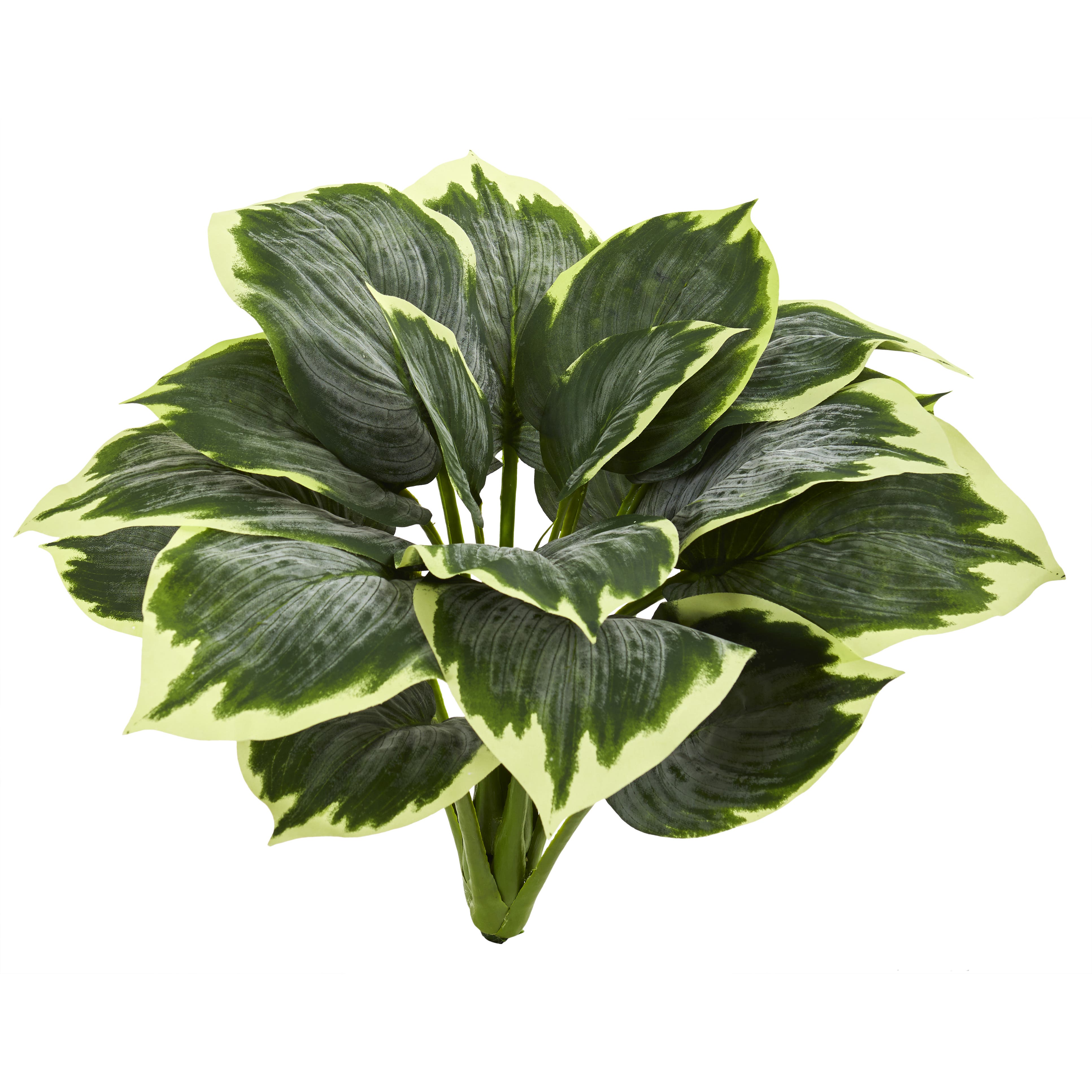 selected Green