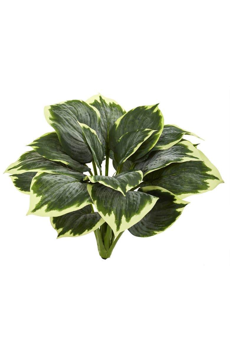 NEARLY NATURAL Variegated Hosta Artificial Plant, Main, color, Green