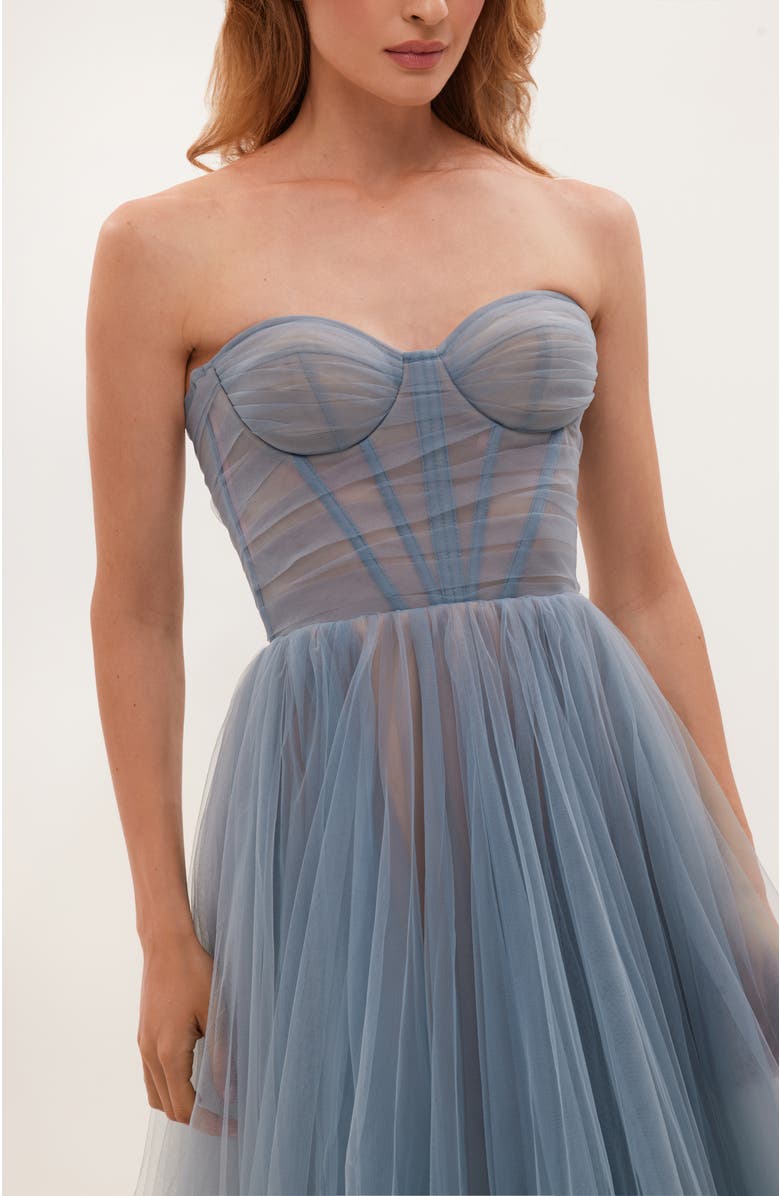 Milla Sheer Sleeves Maxi Tulle Dress, Alternate, color,