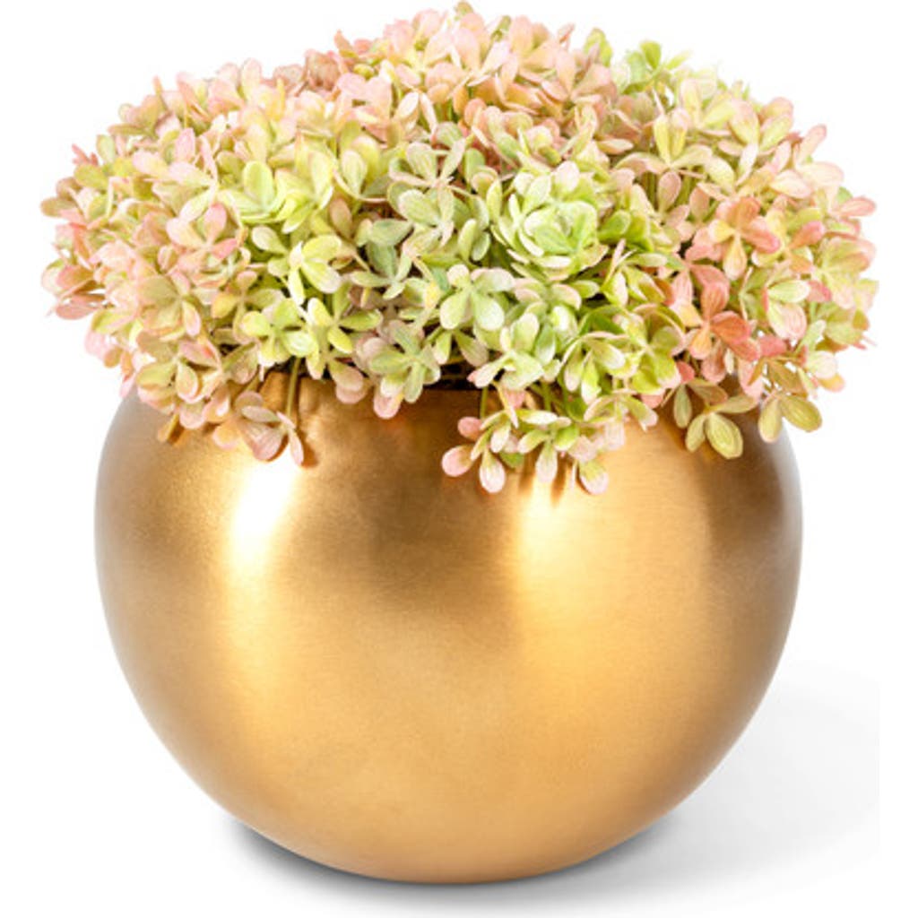 COCOBELLA COCOBELLA OZIAS GOLD SNOWBALL HYDRANGEA