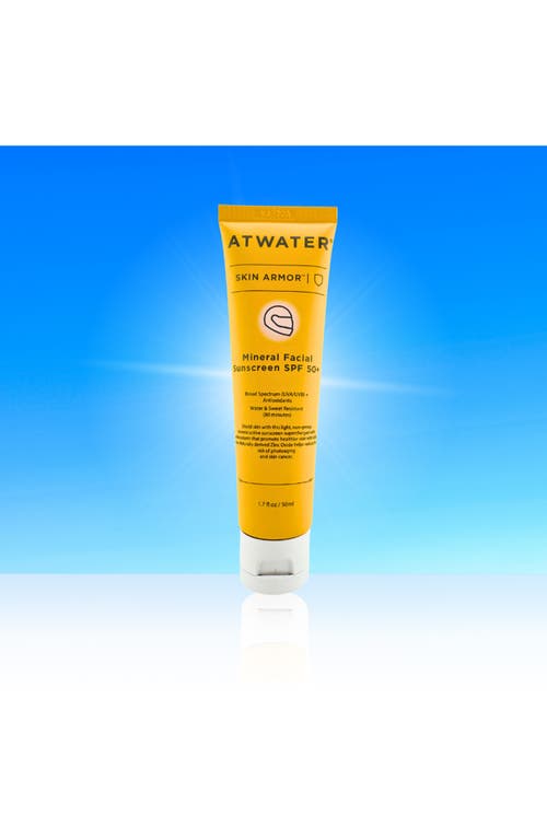 Atwater Skin Armor Mineral Facial Sunscreen Spf 50+ In No Color