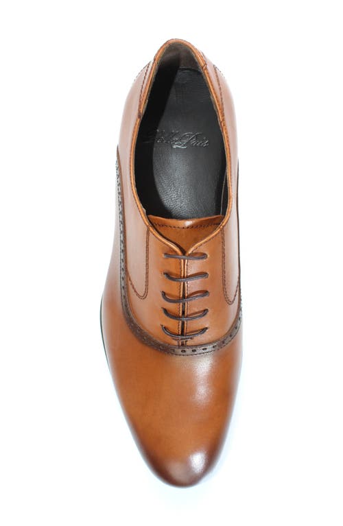 Vellapais Bristol Plain Toe Oxford In Brown