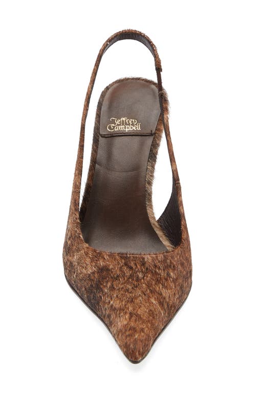 Jeffrey Campbell You Wish Genuine Calf Hair Pointed Toe Pump In Animal Print