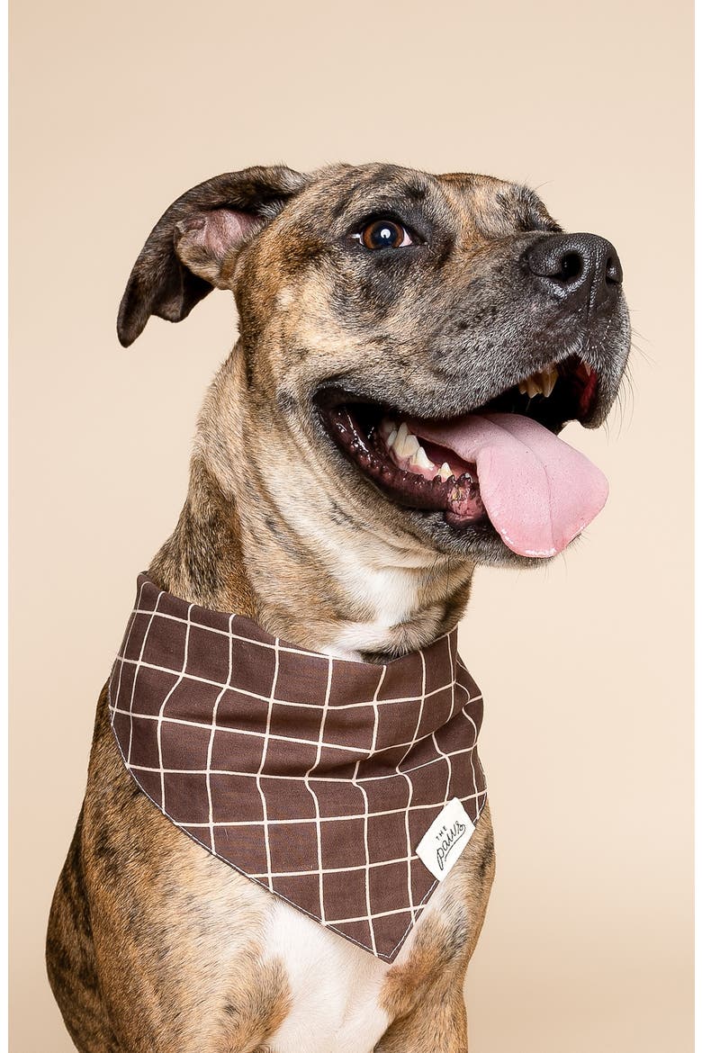 Stratford Dog Bandana, Alternate, color, BROWN