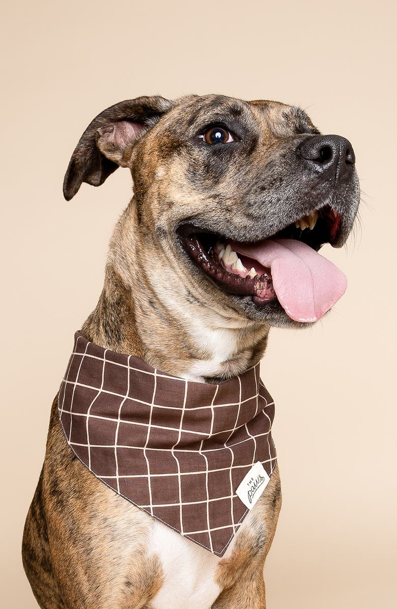 The Paws Stratford Dog Bandana, Alternate, color, Brown
