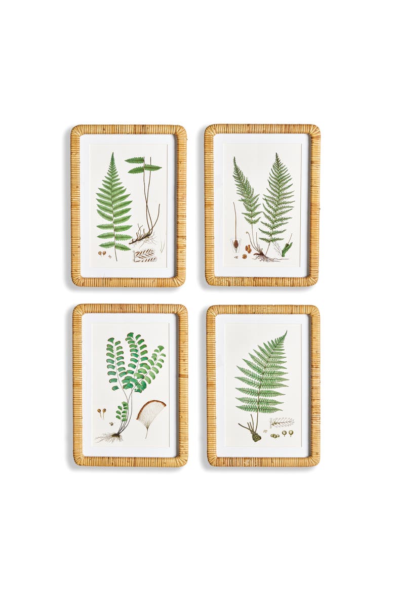 Forest Fern Prints Set of 4, Main, color, Green