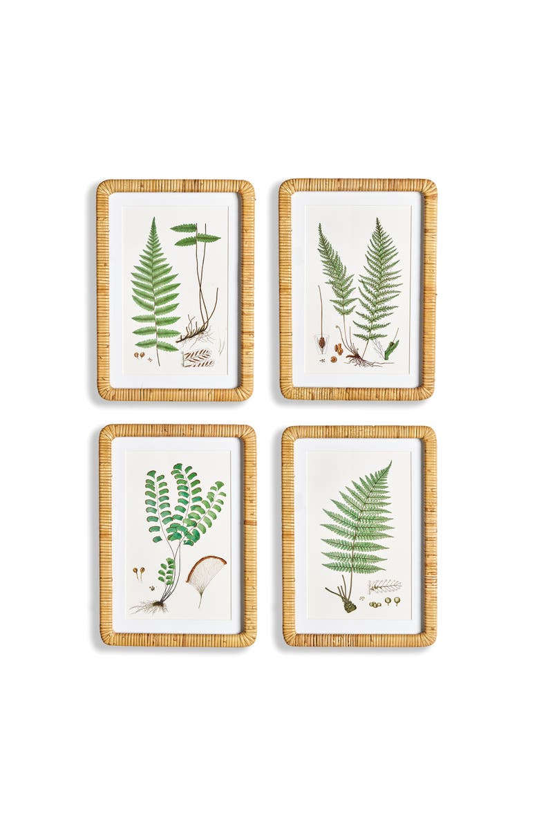 Napa Home & Garden Forest Fern Prints Set of 4, Main, color, 