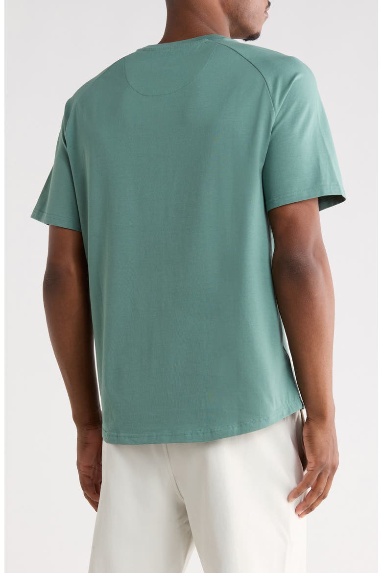 Short Raglan Sleeve T-Shirt, Alternate, color, TRAINING SAGE