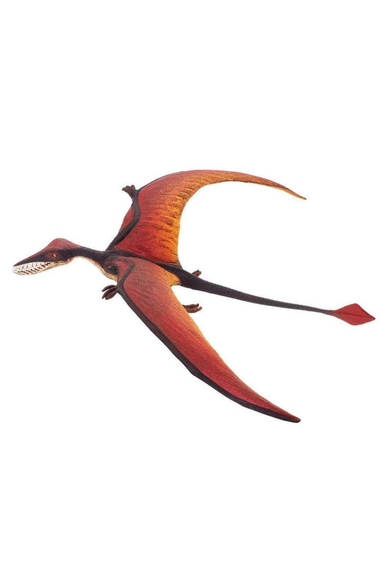 Rhamphorhynchus Toy, Alternate, color, No Color