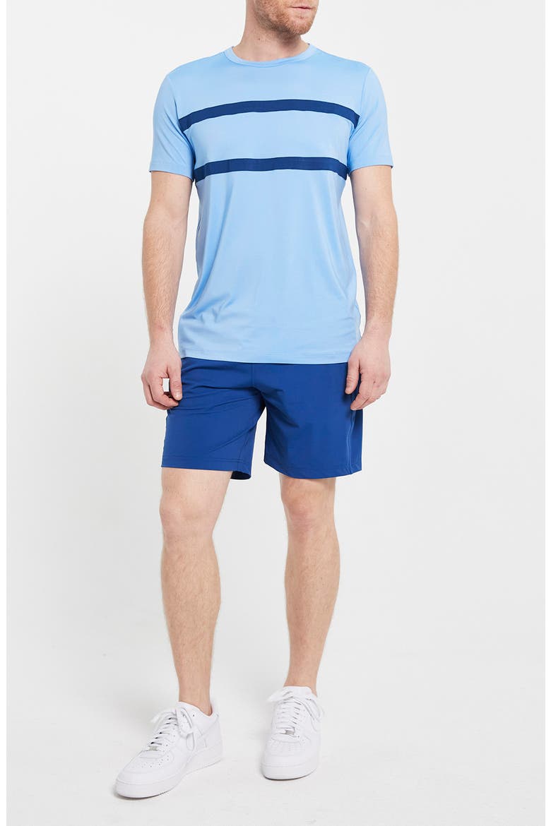 Clark Stripe Crewneck Shirt, Alternate, color, SKY BLUE