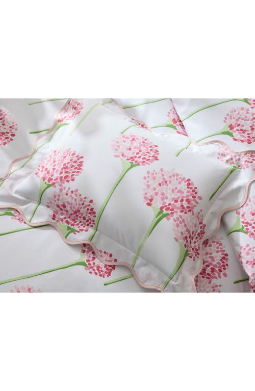 Matouk Floral Cotton Percale Flat Sheet In Peony