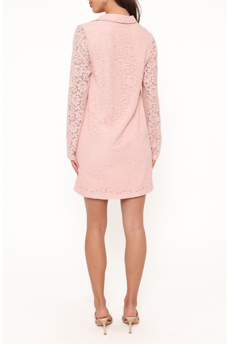 Cidel Lace Long Sleeve Minidress, Alternate, color, PINK LACE