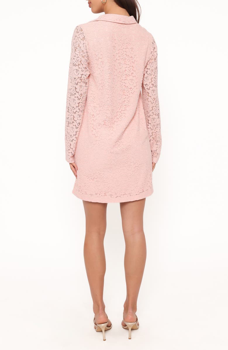 Petal & Pup Cidel Lace Long Sleeve Minidress, Alternate, color, 
