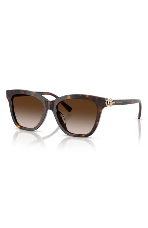 Tiffany & Co . 54mm Gradient Square Sunglasses In Brown
