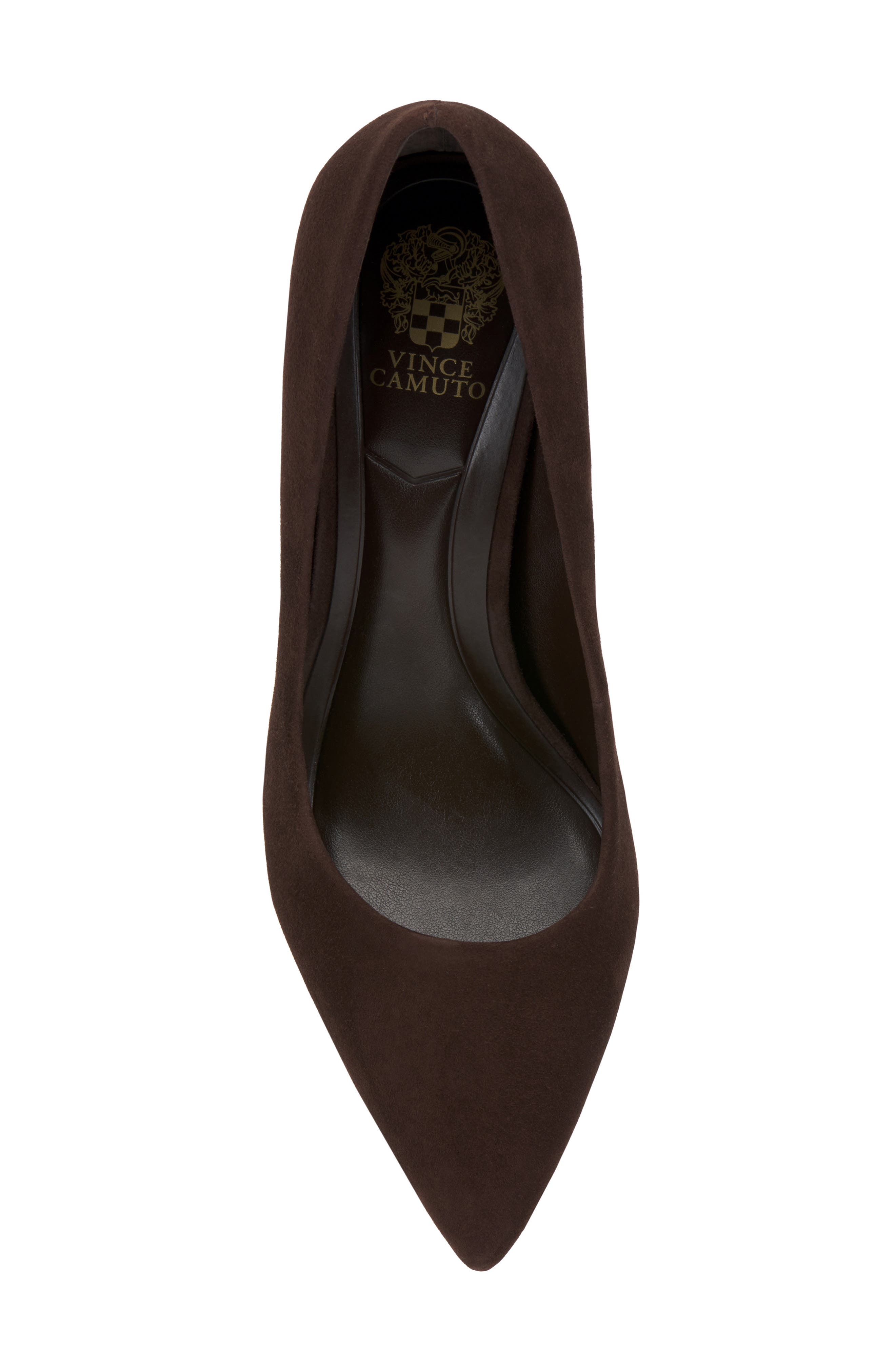 Moriza Pointed Toe Pump, Alternate, color, BROWNIE