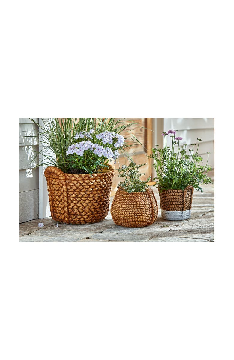 tag Catania Cement Basket Planter for 5 Inch Drop In Plants, Alternate, color, Beige