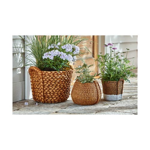 Tag Catania Cement Basket Planter For 5 Inch Drop In Plants In Neutral