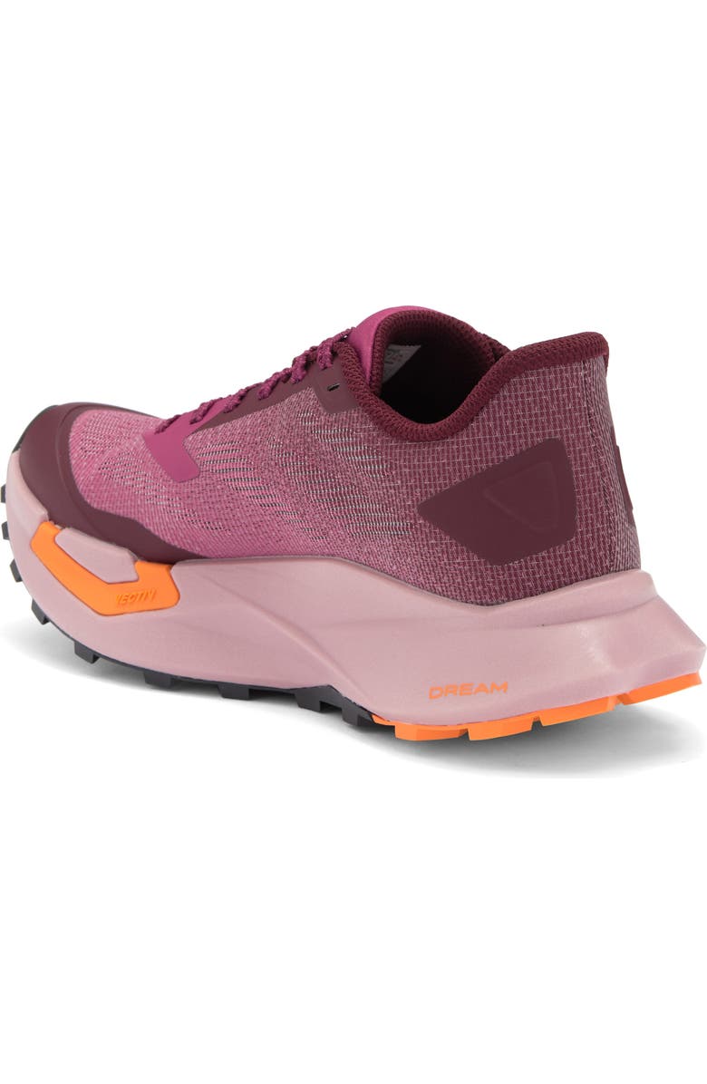 The North Face VECTIV<sup>™</sup> Enduris 4 Trail Running Shoe, Alternate, color,