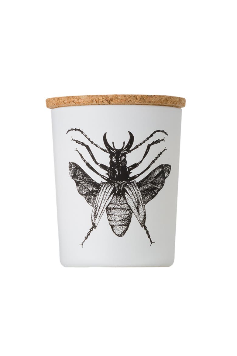 Insect Candle In Jar 2.65 Ounce, Alternate, color, Dorysthenes Walkeri