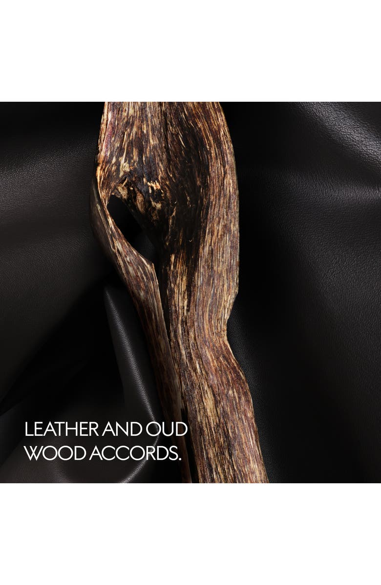 Gucci The Alchemist's Garden The Voice of the Snake Eau de Parfum, Alternate, color, 