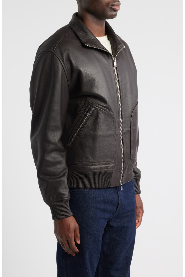 Mander Bomber Jacket, Alternate, color, DARK BROWN