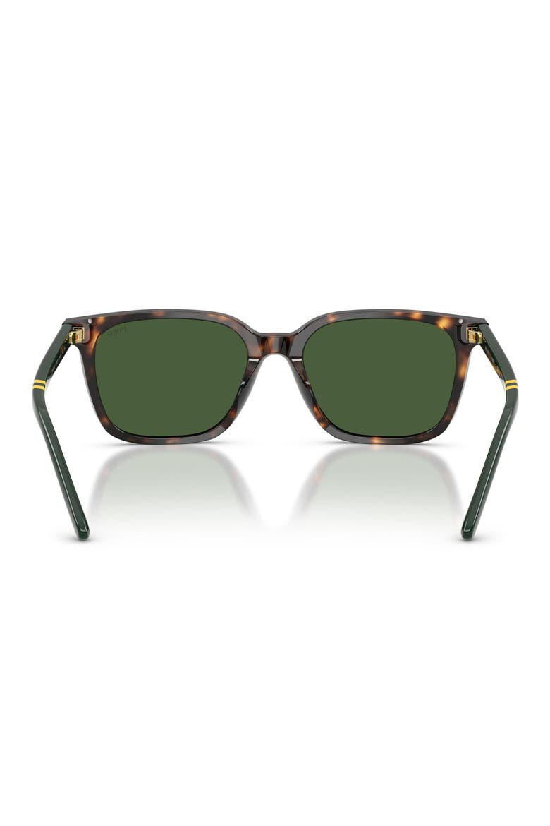 54mm Square Sunglasses, Alternate, color, SHINY DARK HAVANA / GREEN