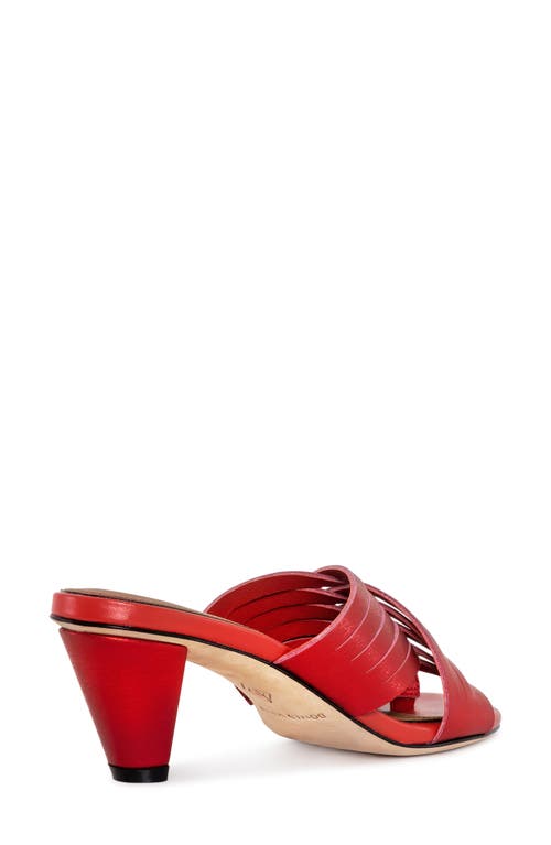Donald Pliner Alannis Slide Sandal In Tomato
