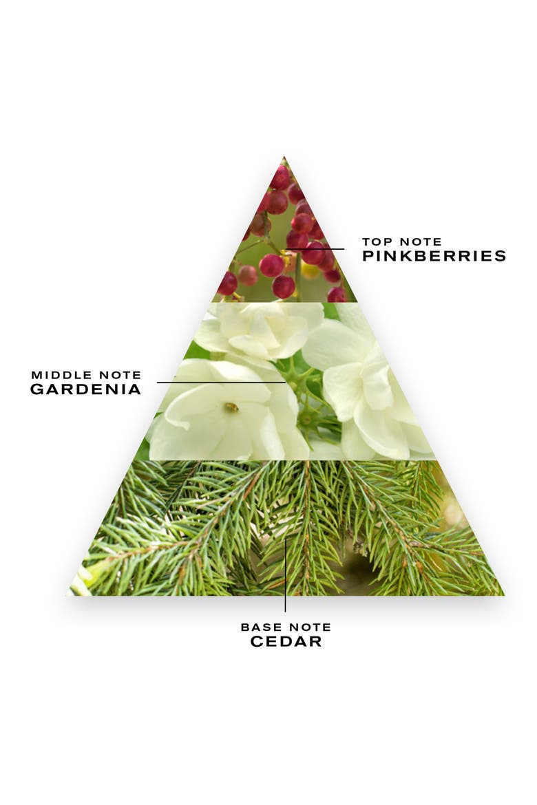 Fleurs de Gardenia Fragrance, Alternate, color, NO COLOR