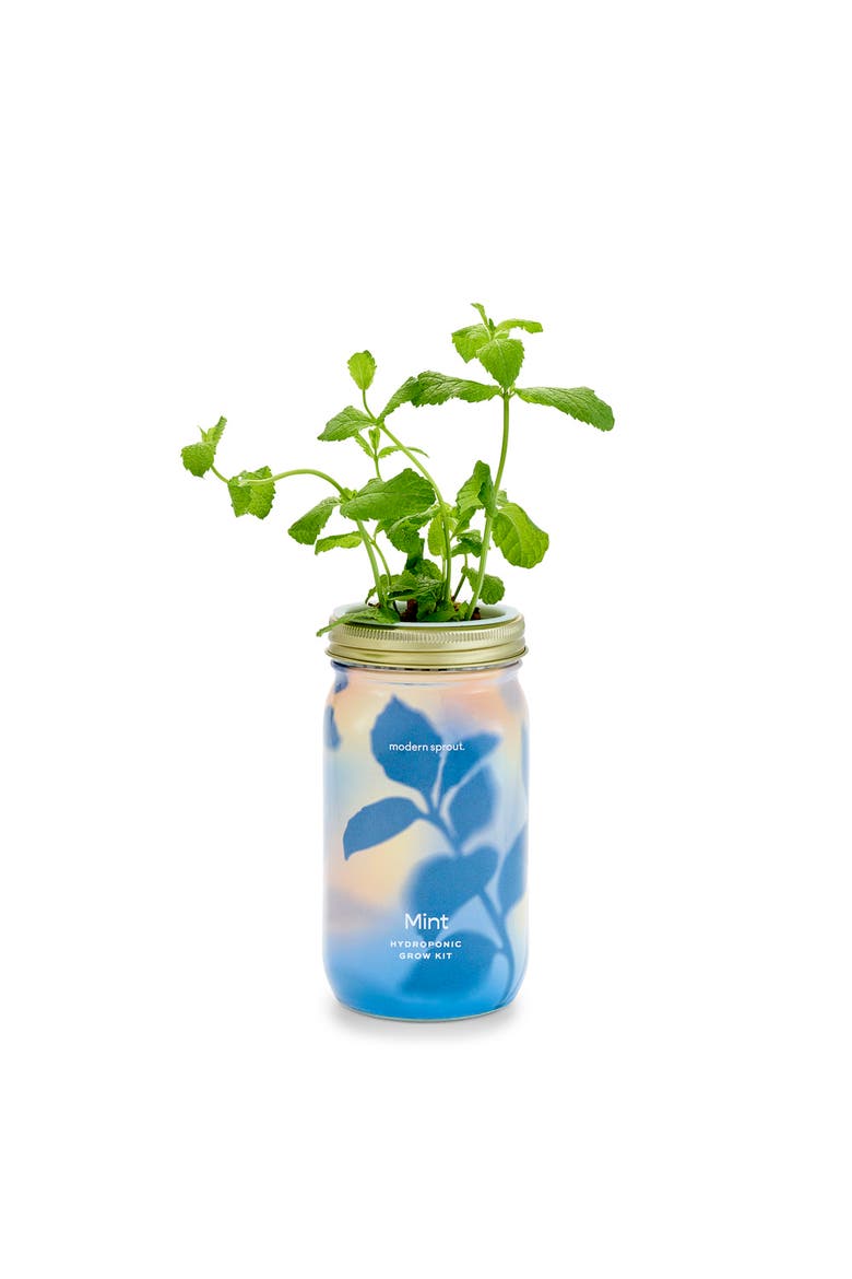 Garden Jar, Alternate, color, Mint