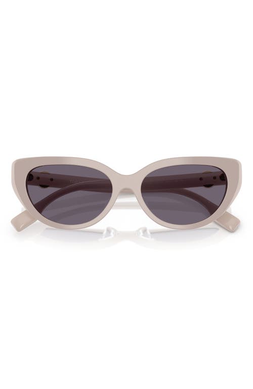 Tory Burch 55mm Cat Eye Sunglasses In Crystal