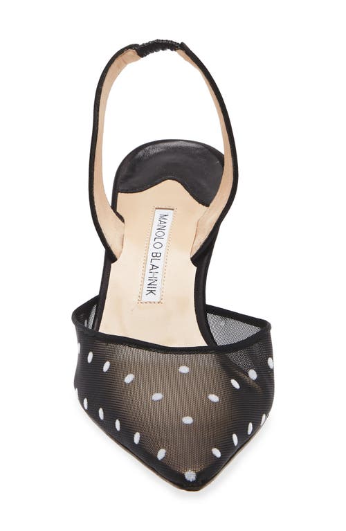 Manolo Blahnik Carolyne Polka Dot Pointed Toe Slingback Pump