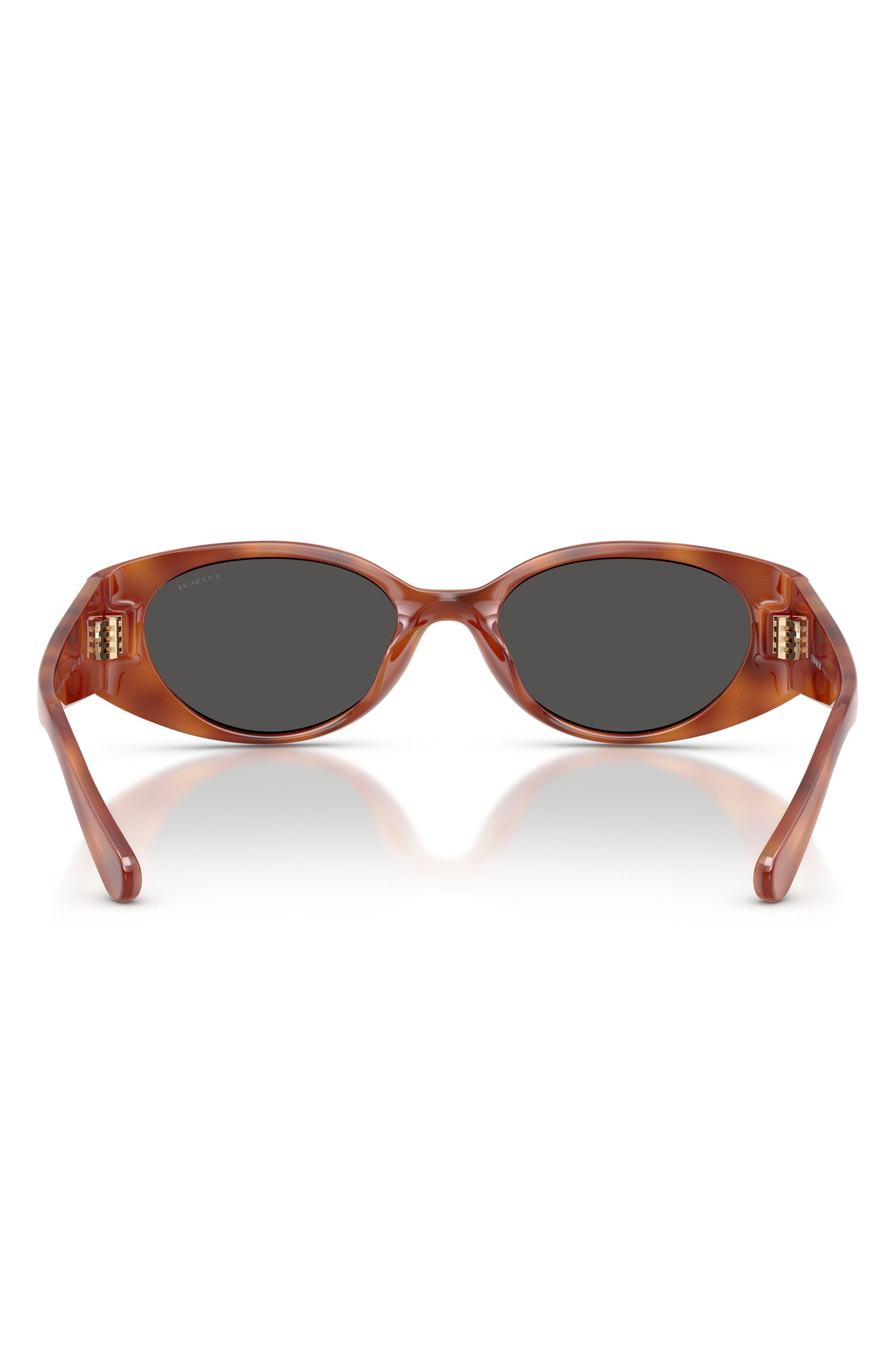 COACH 54mm Oval Sunglasses (Women) | Nordstrom