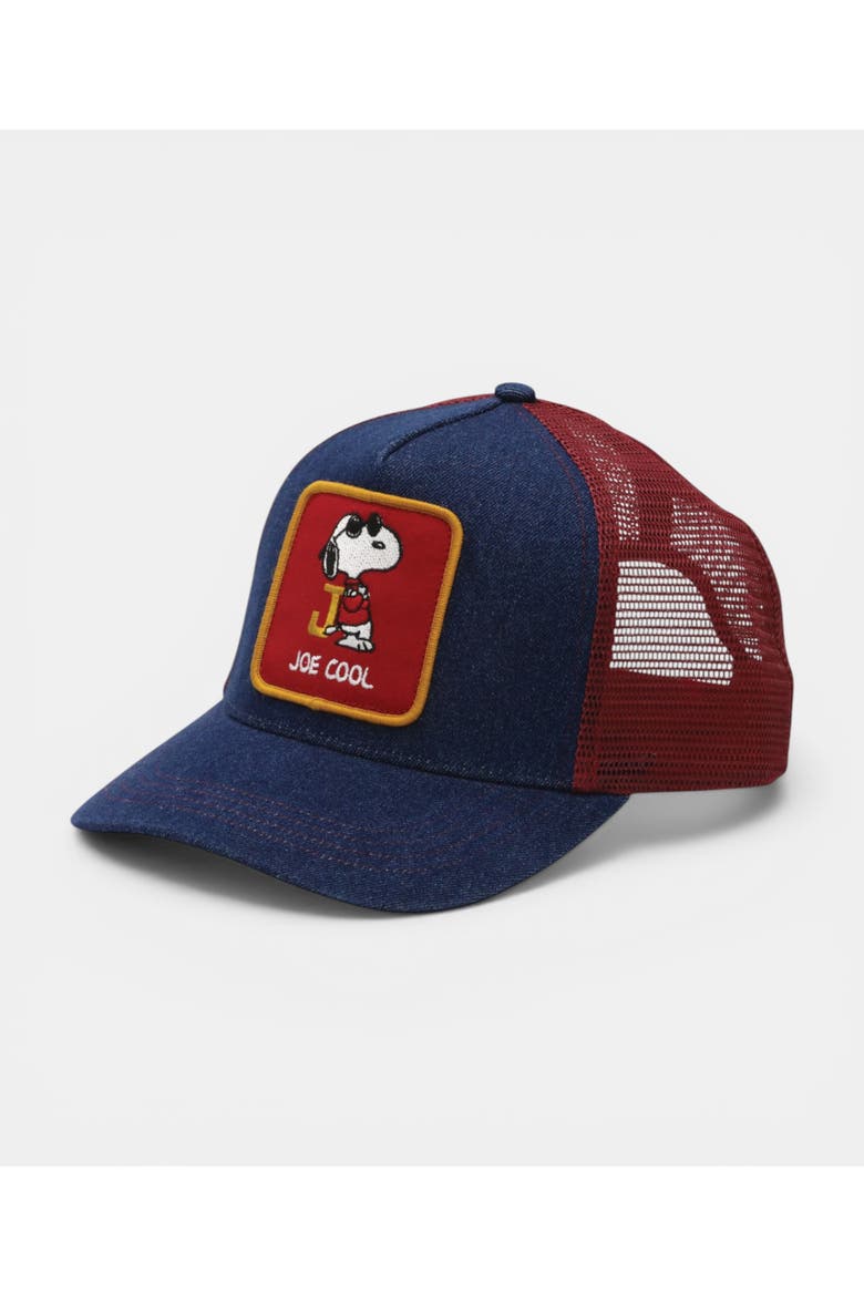 Denim Joe Cool Trucker Cap, Main, color, DENIM